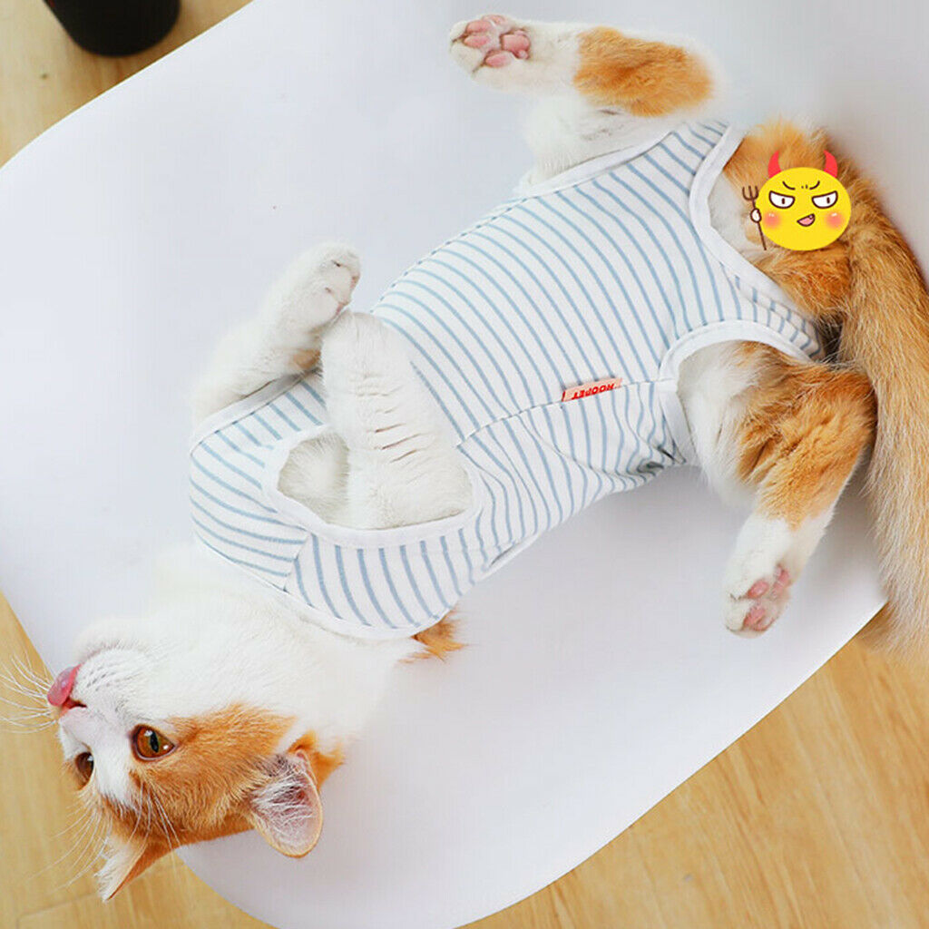 Cat Recovery Suits After Surgery Wear Clothes For Small Pet Cat Kitten XL