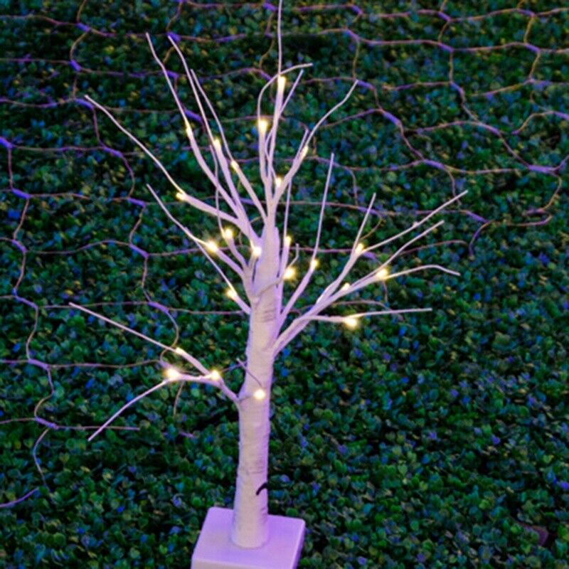 White Birch Tree Lights 24 Inches Suitable for Family Wedding Holiday BirtayR6K9