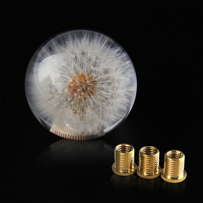 Car Shift Knob Head 70MM Crystal Ball with Dandelion Real Flowers M8 M10 Adapter