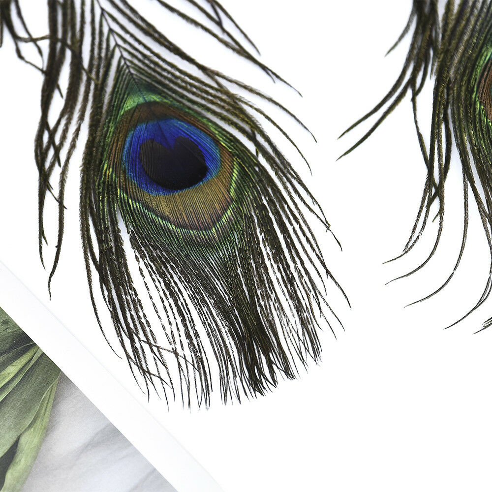 10pack Real Natural Peacock Tail Eyes Feathers Wedding Festival Party Home Decor