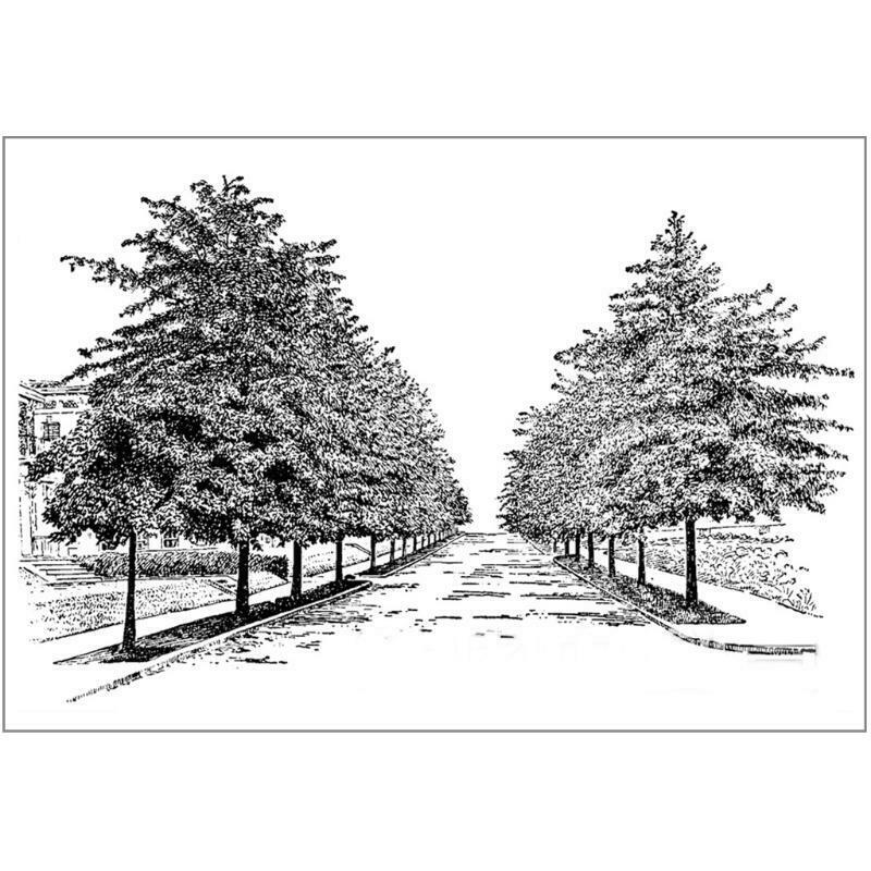 Road Tree DIY Silicone Clear Stamp Cling Seal Scrapbook Embossing Album Craft