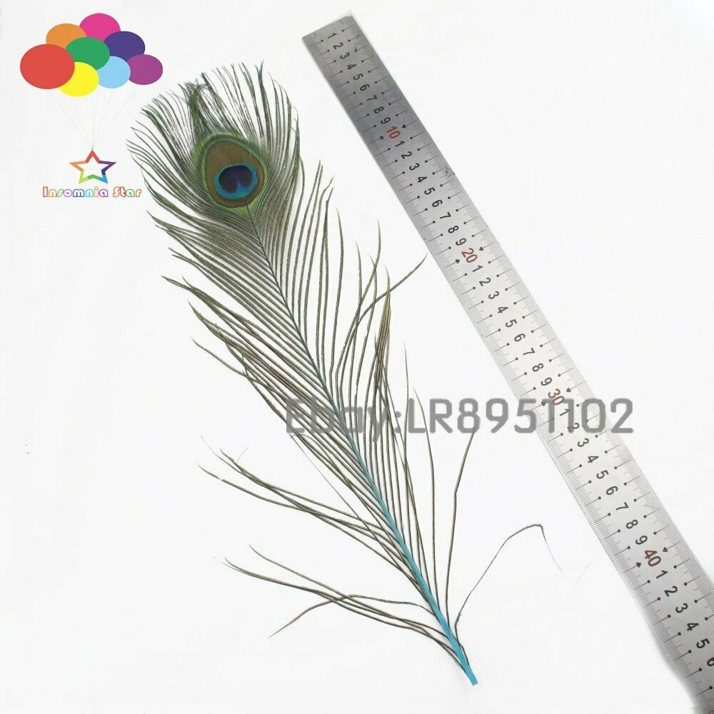 100 Pcs Lake blue Dyeing Peacock Feathers For Crafts Length 40-45CM  Diy Jewelry