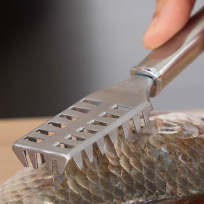 Home Kitchen Peeler Stainless Steel Fish Scaler Scraper Cleaner Remover Tool  Tt
