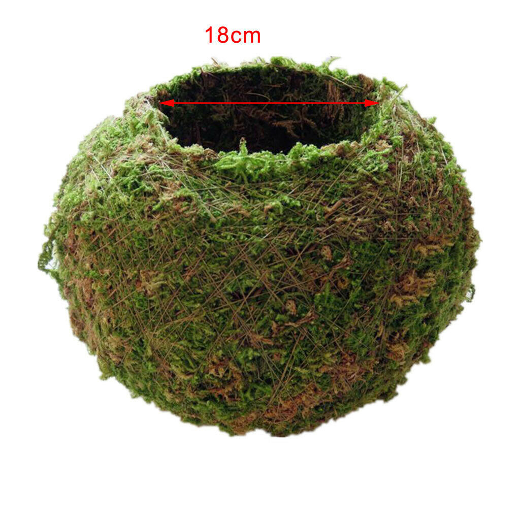 2pcs Moss Flower Pot Succulent Planter Container Garden Decoration 15cm/5