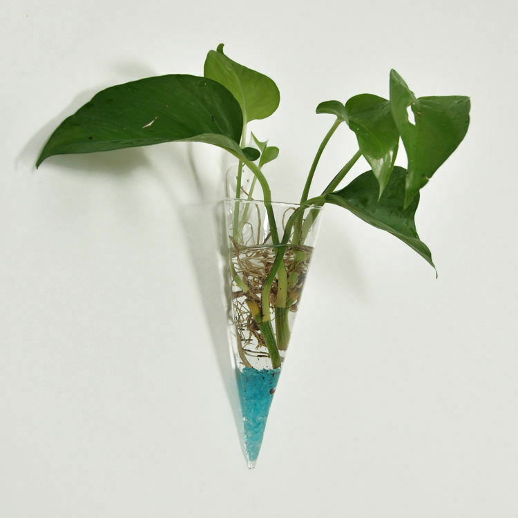 High Borosilicate Glass Vase Planter Pot Wall Mounted Office Decoration
