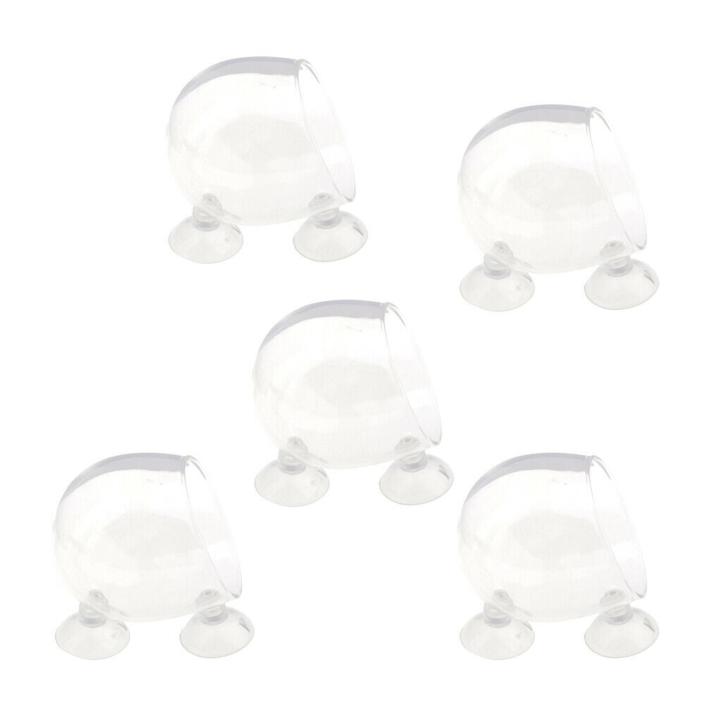 5x Crystal Planter Glass Cup Pot   Tank Holder for Aquarium Aquascaping