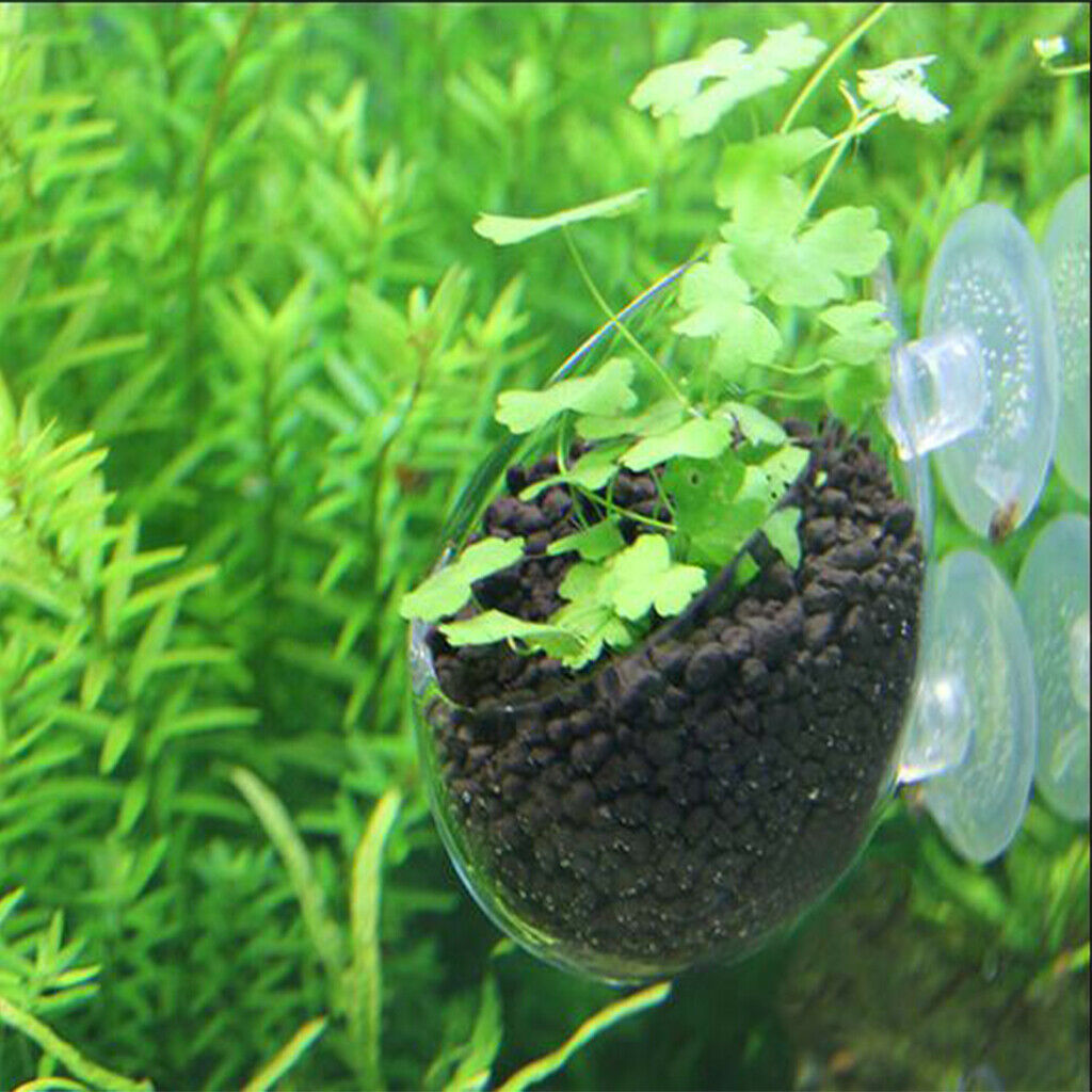 Set of 2, Aquatic Plant Clear Glass Cup Pot Aquarium Fish Tank Plant Holder