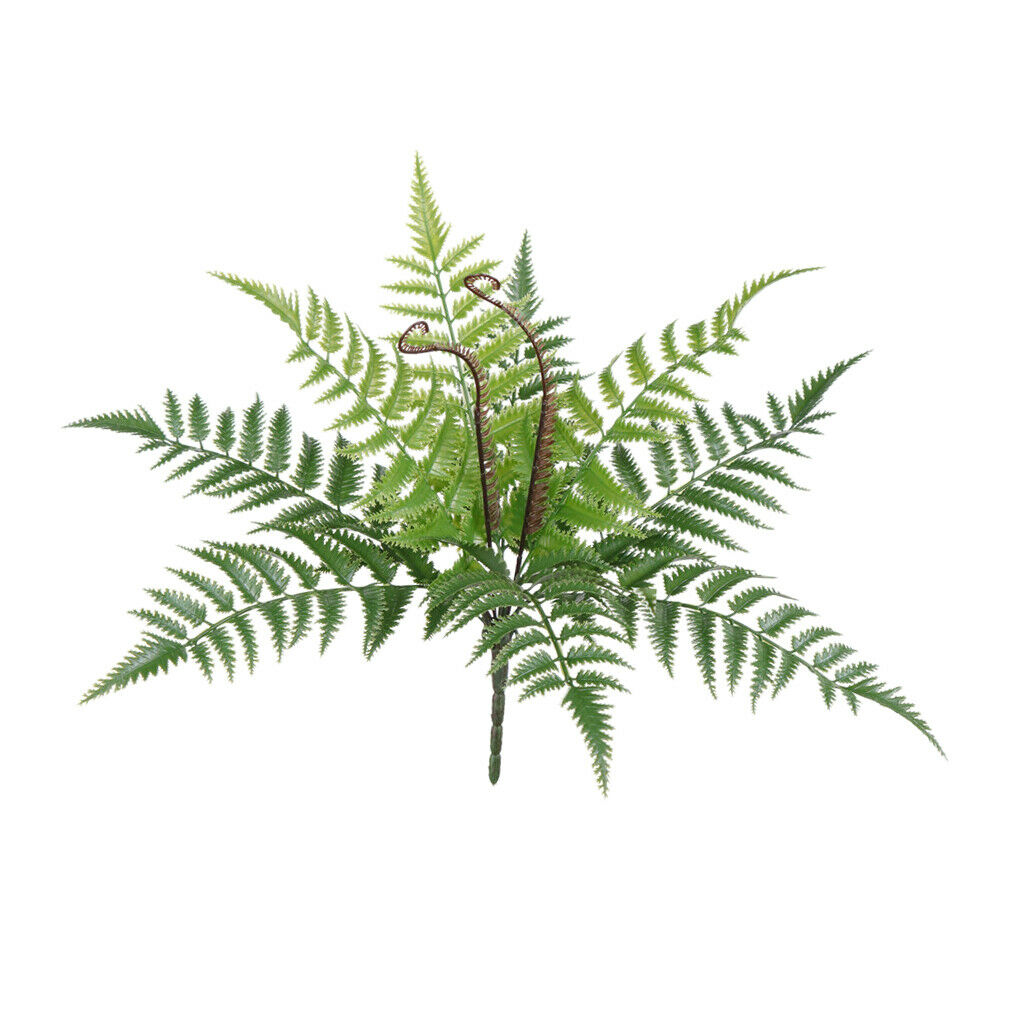 Natural Real Dried Leaves Press Dry Ferns Leaves for Nail Art Decor DIY