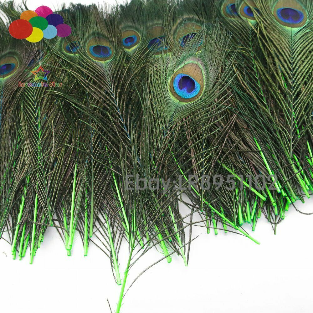 New 100 pcs quality Fruit green peacock feathers 10-12inch / 25-30cm DIY wedding