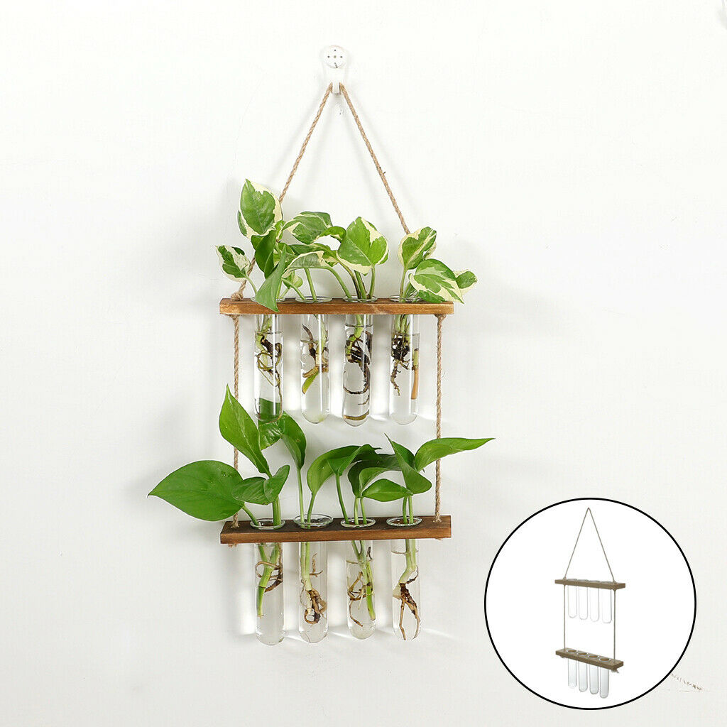 Hanging Hydroponic Terrarium Vase Glass Planter Propagator Office Bar Decor