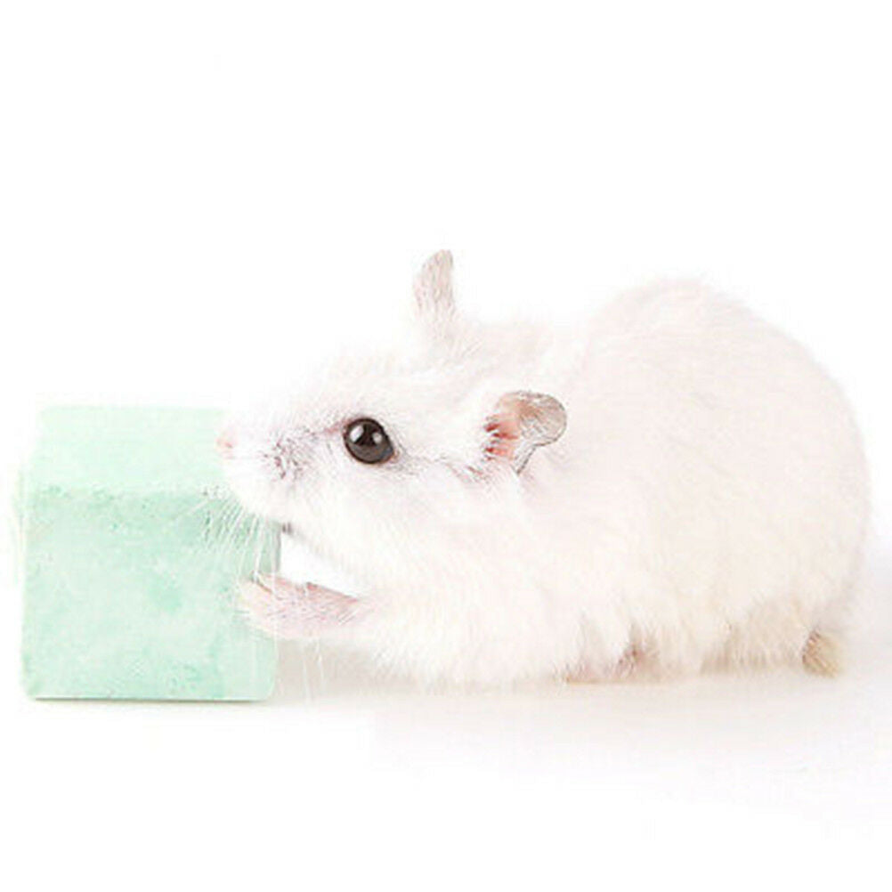 Small Animal Pet Hamster Rabbit Rat Mineral Chew Cube Teeth Grinding Ston.l8