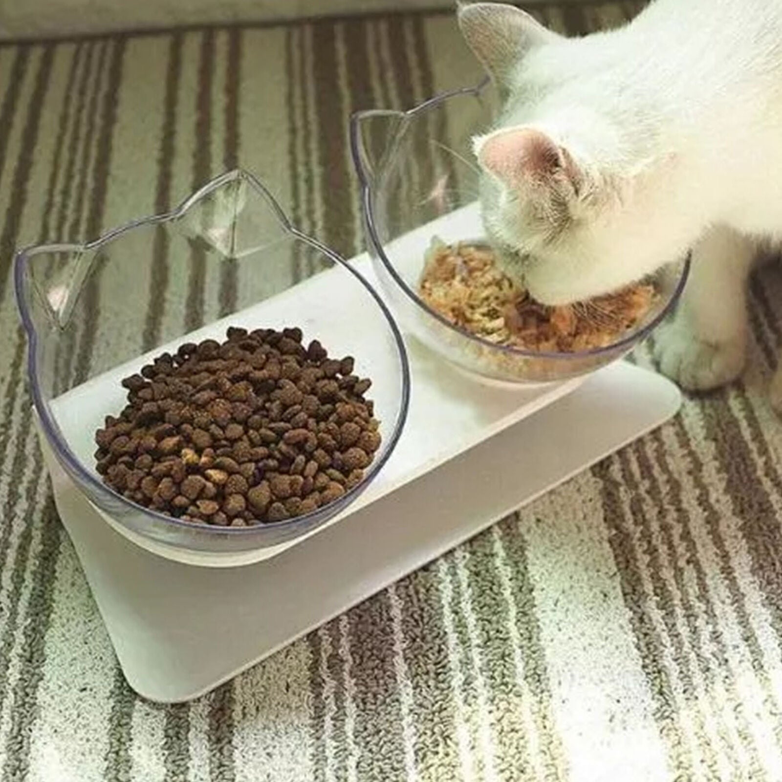 Anti-Vomiting Orthopedic Pet Cat Dog Bowl -High Quality