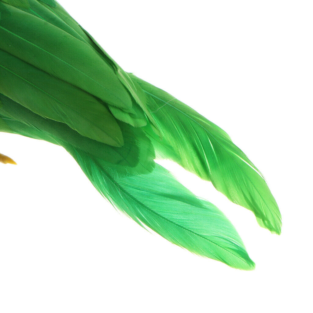Lifelike Perched Woodland Birds Artificial Feathered bird Crafts Colorful #6