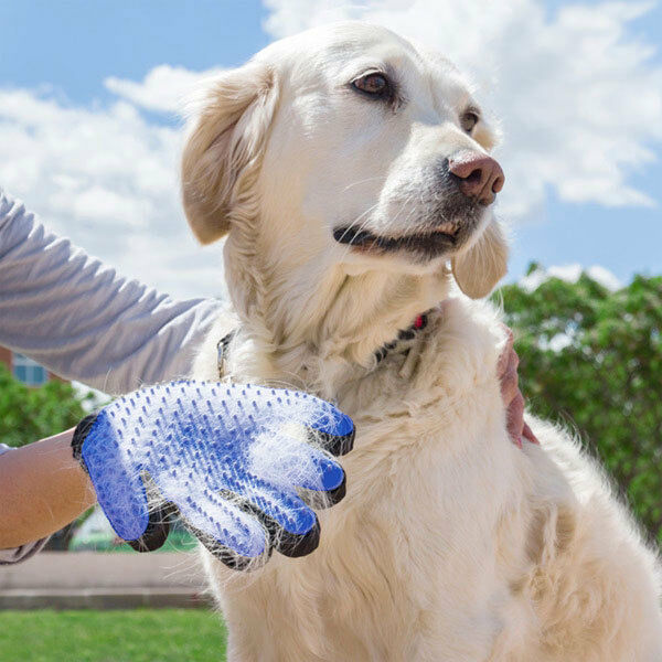 Glove Brushing Hair for Pet Grooming Dog Company Dog Cat New