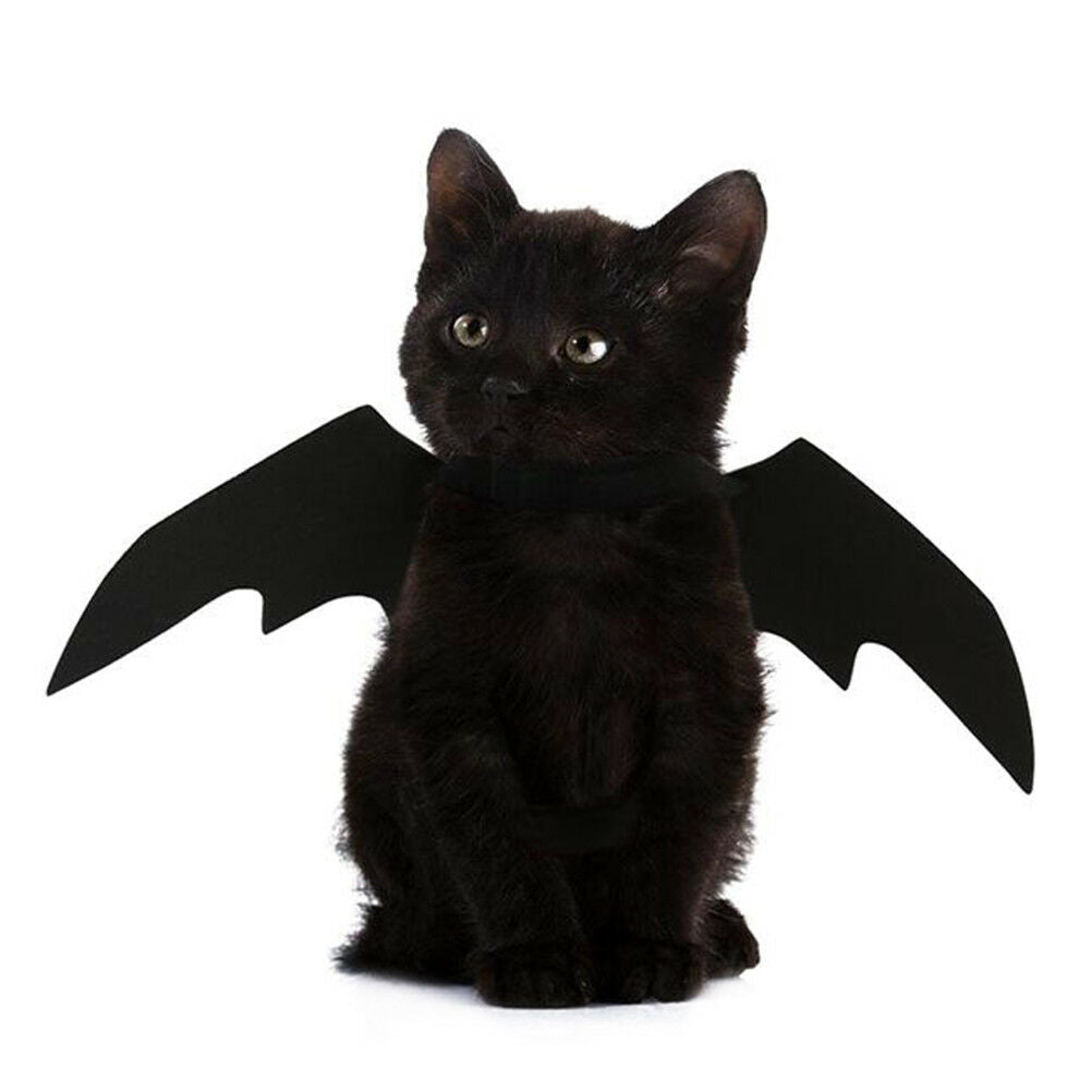 Lovely for small pet dog cat bat wings halloween wings halloween costume fw_DD