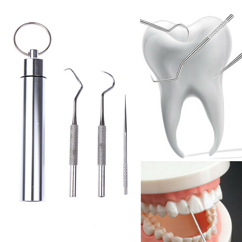 1 Set Stainless Steel Portable Toothpick Tooth Hook Teeth Clean Tool Dental BDA