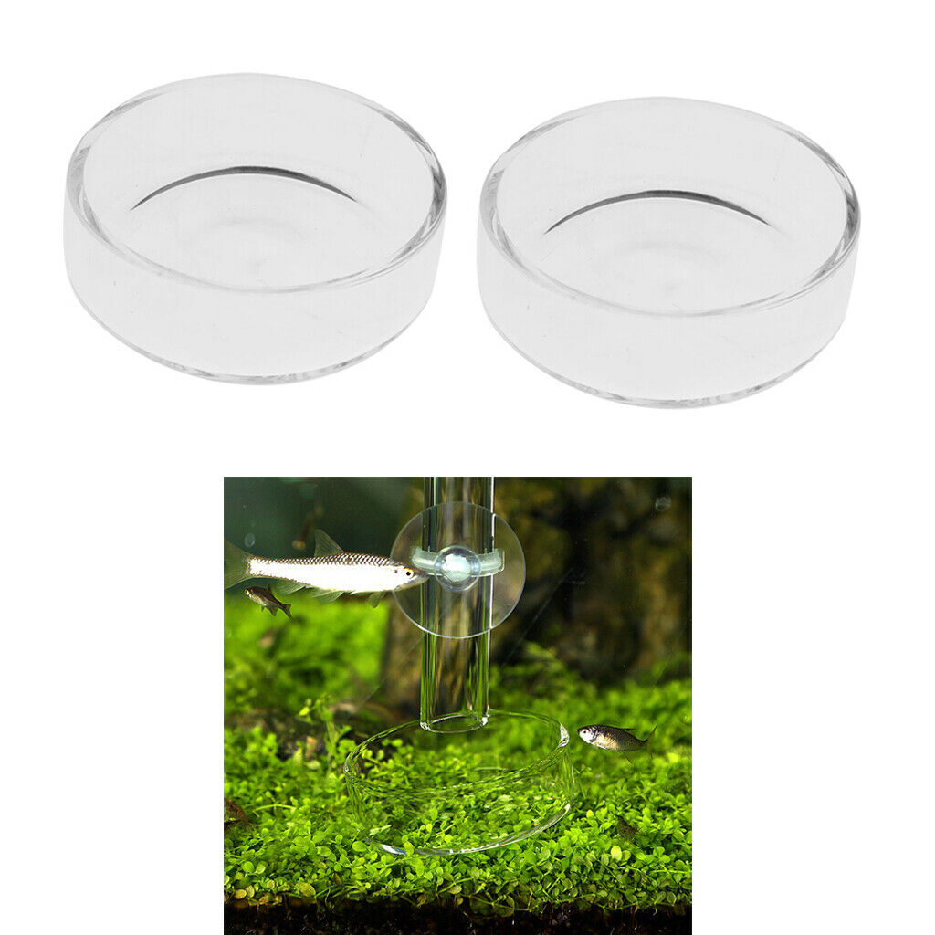 Pieces Transparent Fish Tank Shrimp Feeding Container Useful Pet Tray Round