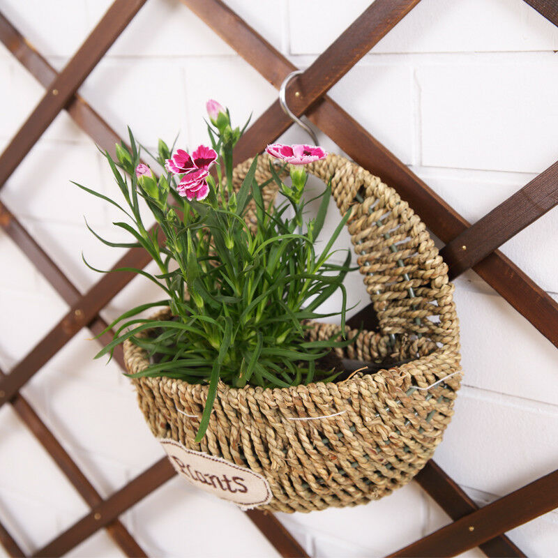 Home Garden Wood Wall Trellis Expanding Flower Plant Climbing Fence 150X30cm New