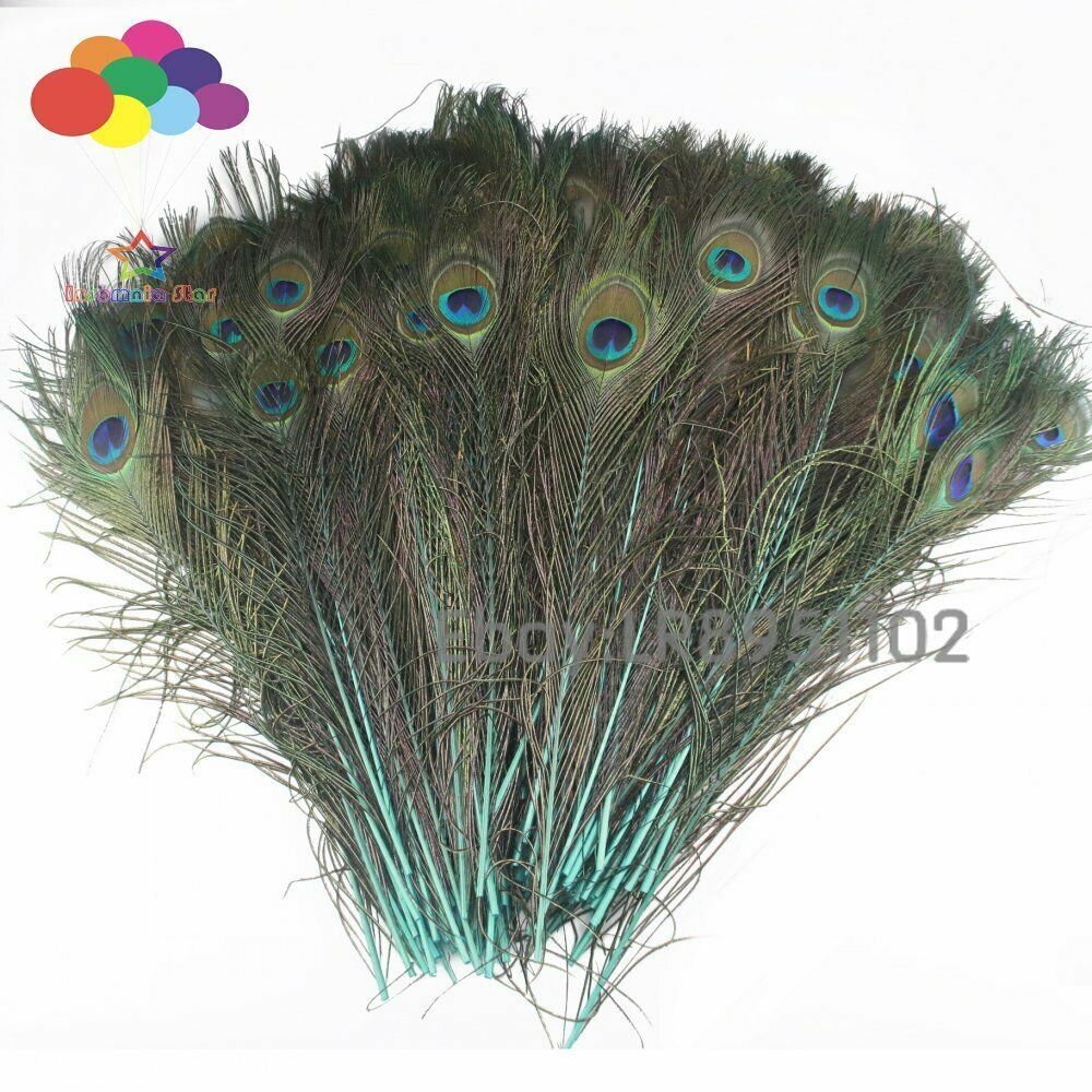 New 100 PCS Mint Peacock Feather 40-45 cm DIY Clothing Decoration Plumage Crafts