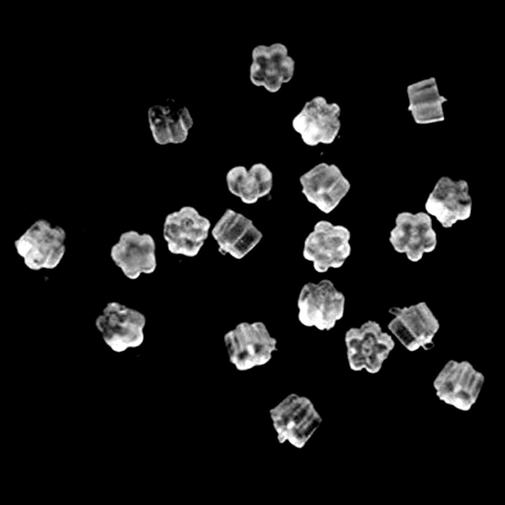 100pcs Earring Backs Set Transparent Plastic 4mm Locking Earring Backs Ear LIN
