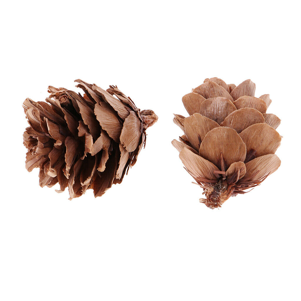 120pcs Mini Natural Small Pine Cone Pinecone Photo Props Wedding Party Ornament