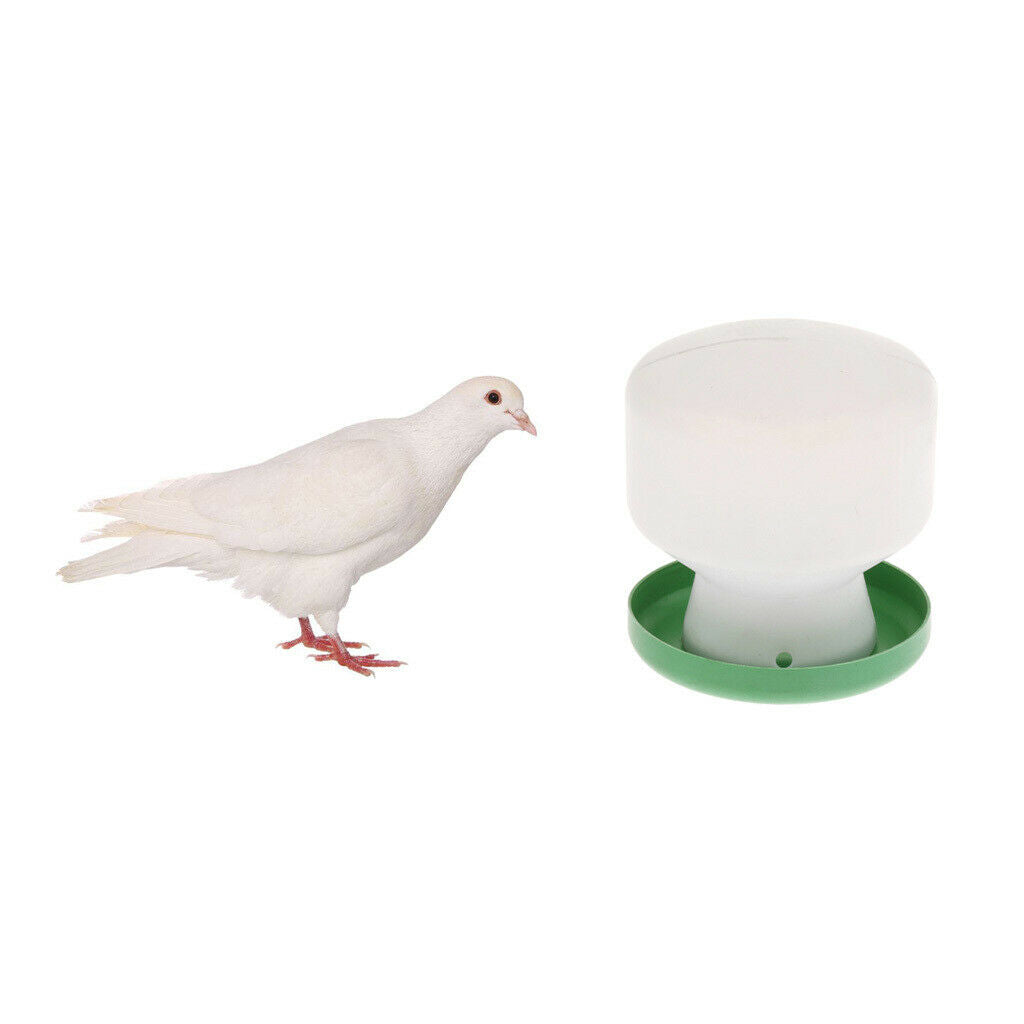 Pigeon Birds Supplies Water & Food Tools Small Parrots Feed Dispenser