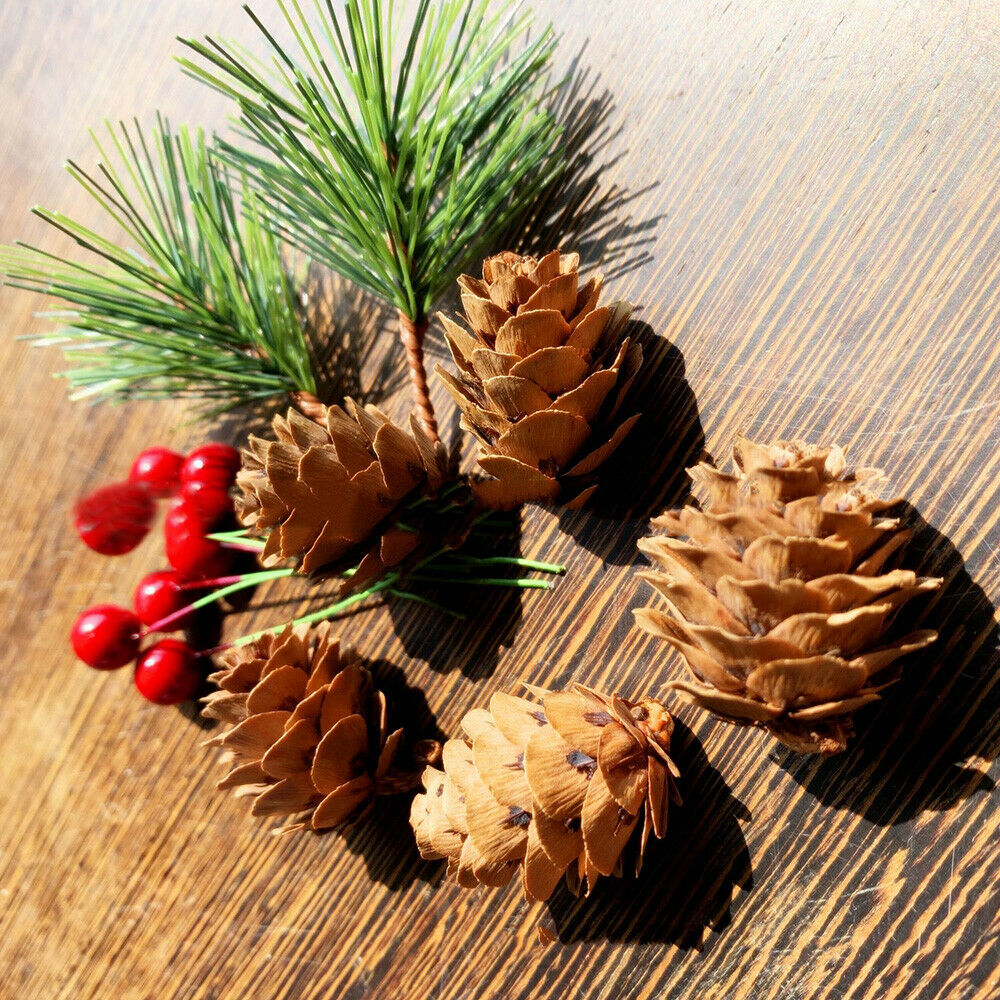 10Pcs Artificial Mini Pine Needles Branches Christmas Flower Tree Ornament DIY
