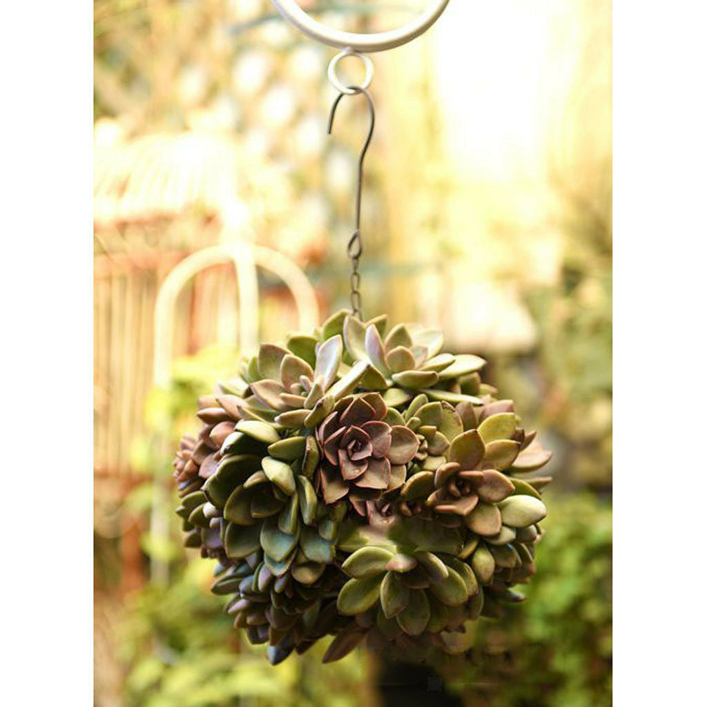 2pcs Rustic Romantic Iron Frame Ball Shape Succulent Pot Hanging Pot Qty2