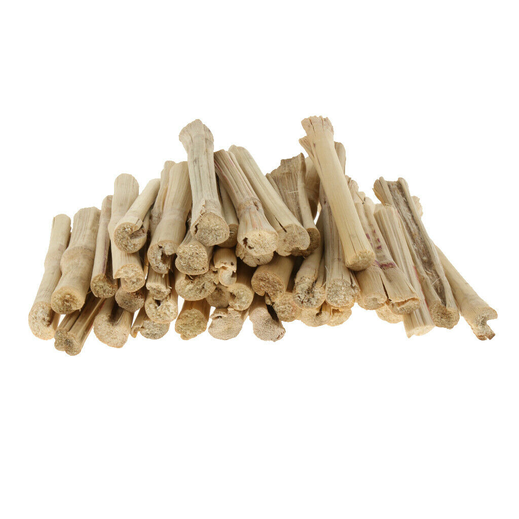 Natural Sweet Bamboo Chew Toys Small Animal Snacks For Rabbit ...