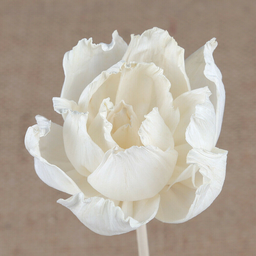 3X Artificial Flower Peony Reed Diffuser Stick Aromatherapy Fragrance Decor DIY