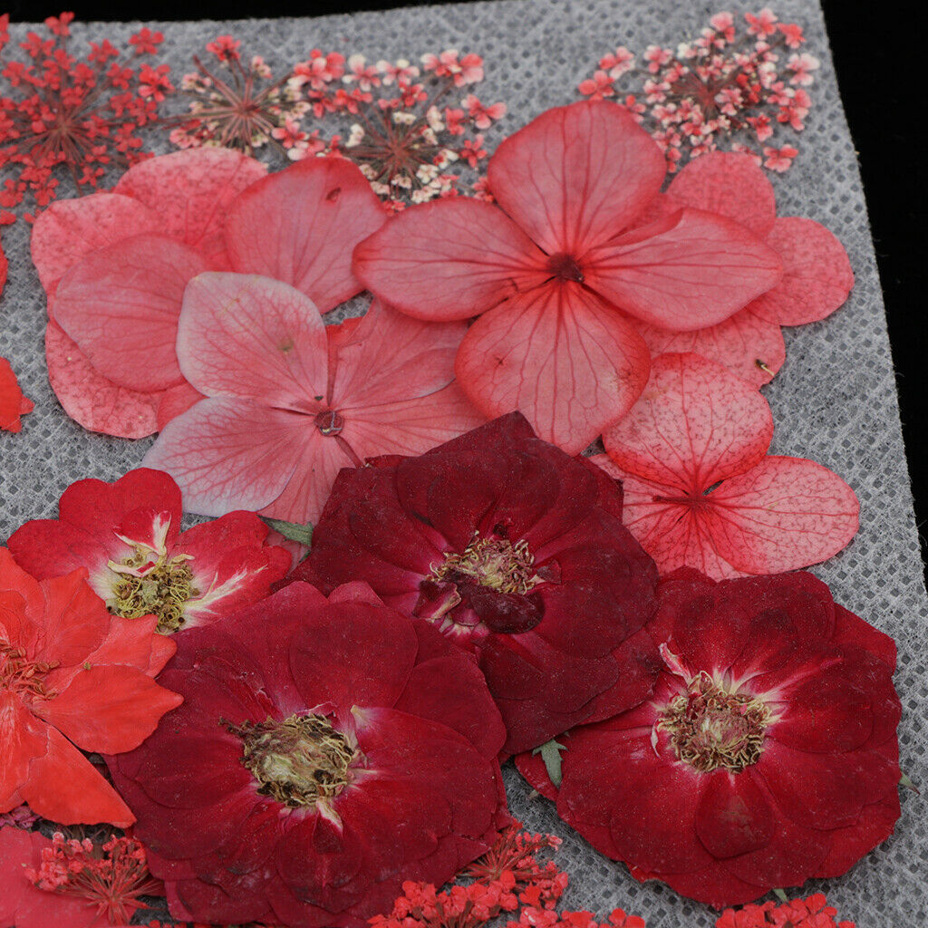 2pcs Real Dried Flowers Leaves DIY Scrapbooking Card Making Floral Crafts