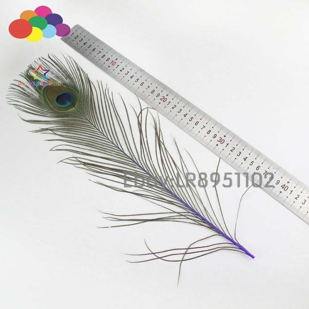 Deep purple Peacock Feathers 16-18 inches Long 40-45cm 100 pieces per pack