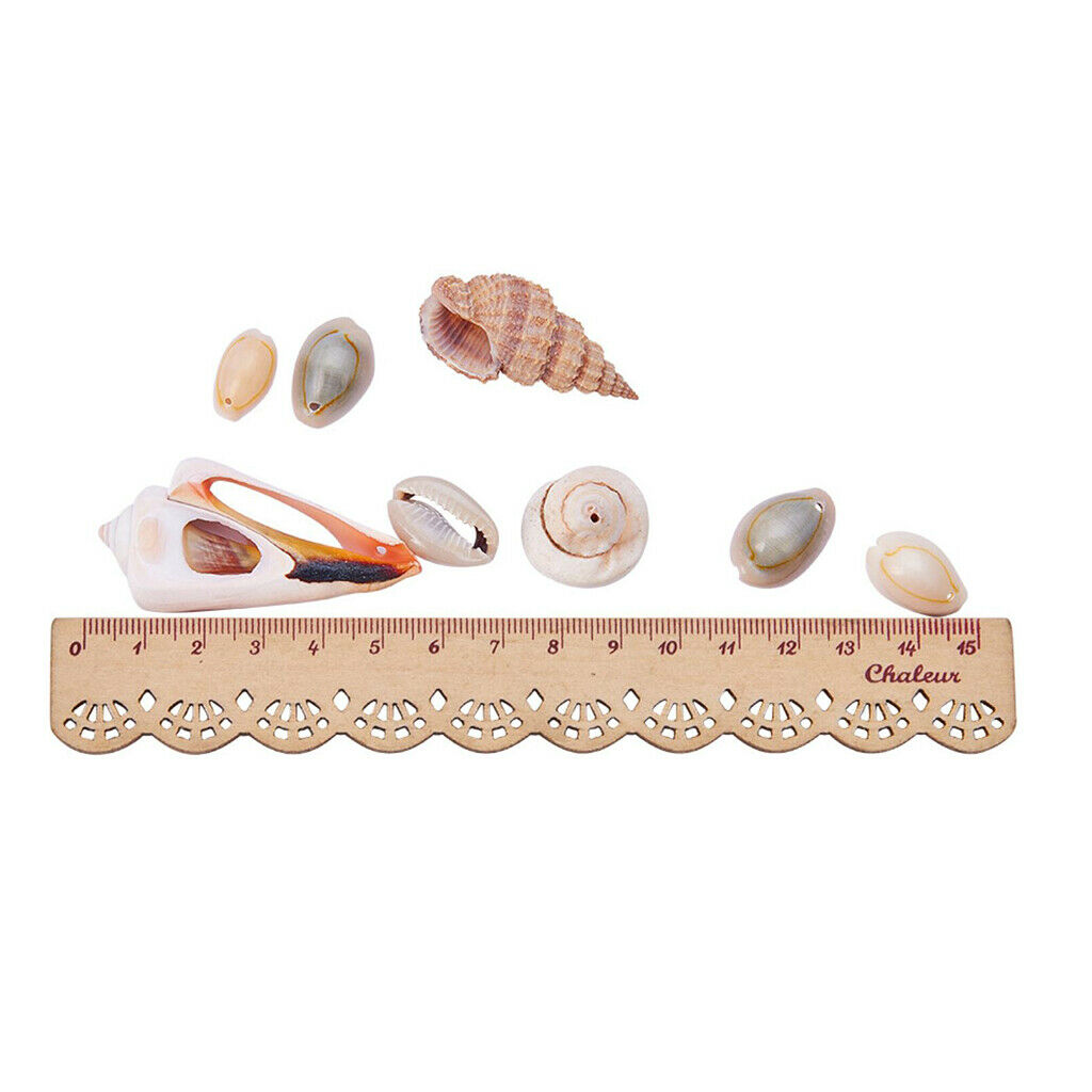 Mixed Beach Seashells Spiral Shells Conch Beads Vase Filler Jewelry Making