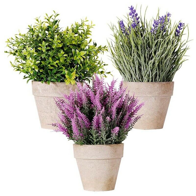 Mini Potted Artificial Money Leaf Plants Set of 3 Lavender Cedar Bud GreenerA3K2