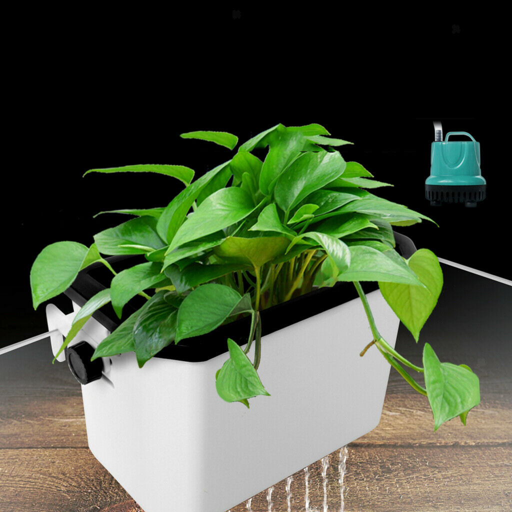Practical Fish Tank Filter Reptiles Tank Filtration for Freshwater Saltwater