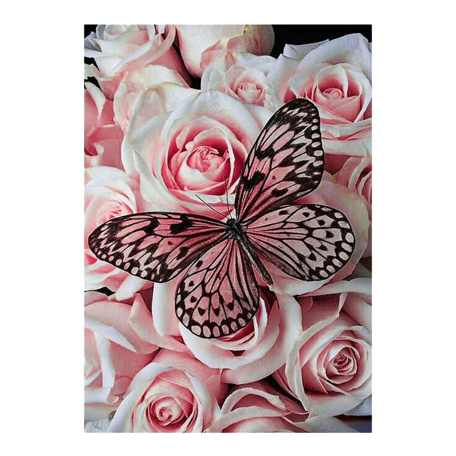 DIY 5D Diamond Painting Butterfly Full Drill Picture Supplies 11.8x15.8 inch