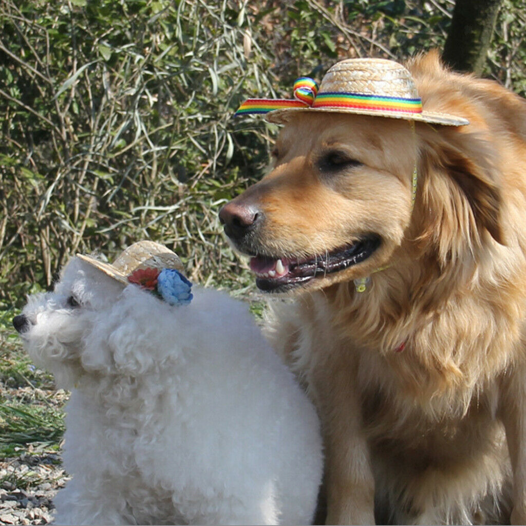 Pet Dog Cat Party Costume Accessory Straw Sombrero Hat Adjustable Buckle Denim M