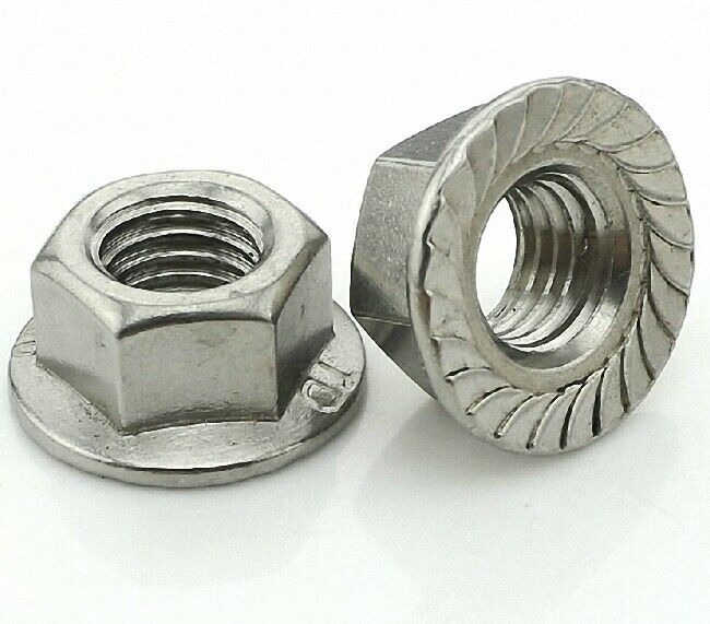 M6 x 1 Stainless Steel Flange Hex Nut Right Hand Thread 12Pcs [M_M_S]