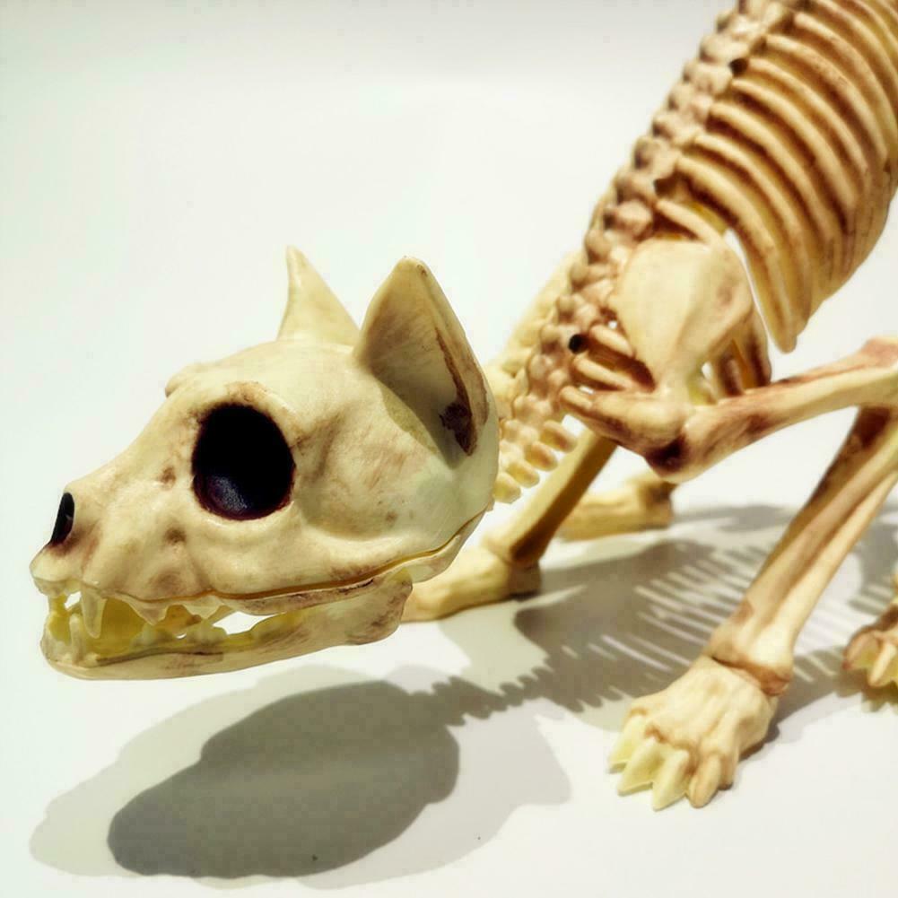 Halloween Life Sized Cat Skeleten Dead Amimal Prop Decoration O6L9