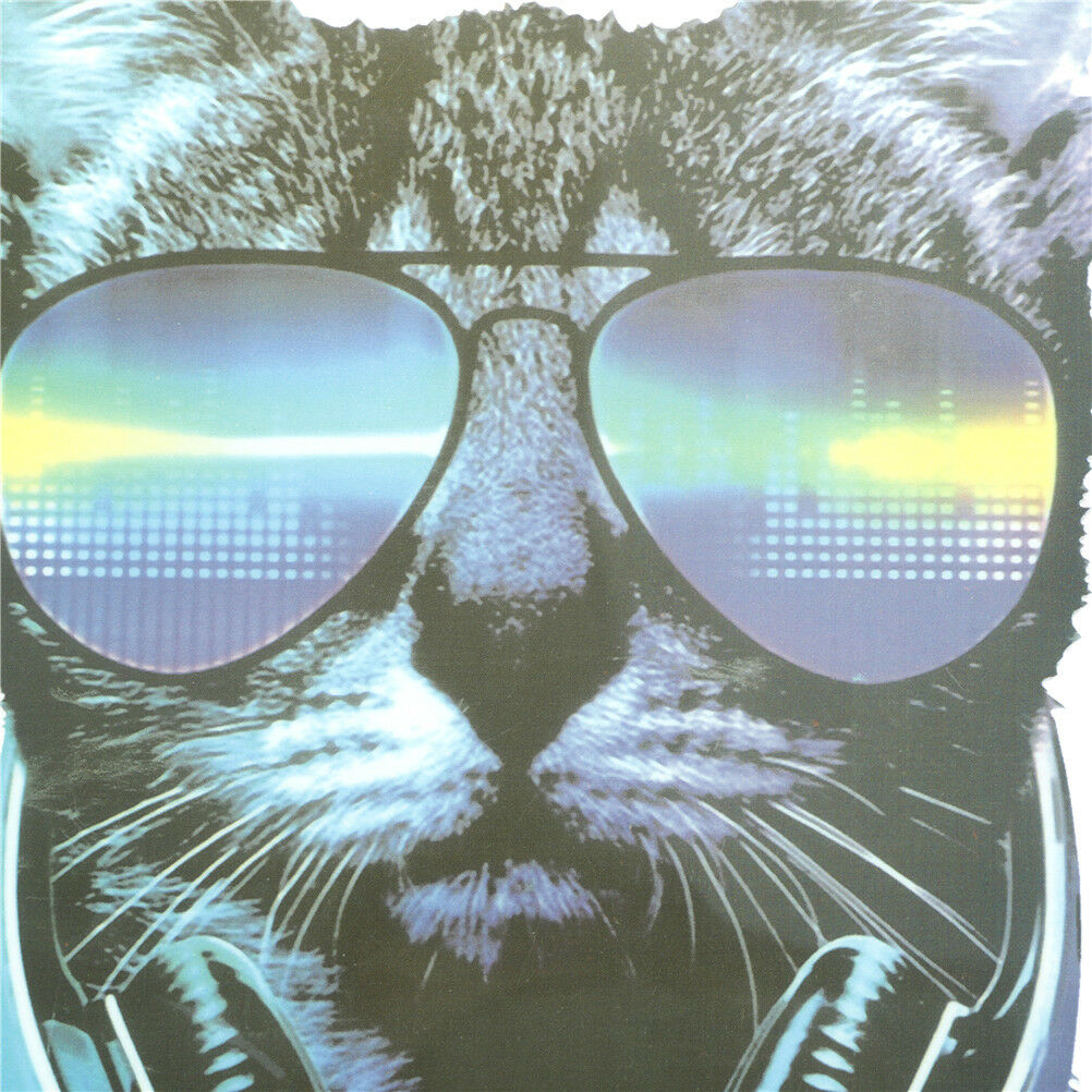 Music Cat Iron on Patches Washable Heat Transfer Stickers T-shirt Applique.l8