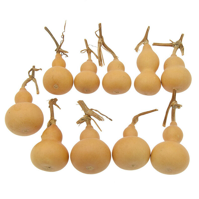 10x Miniture Hand   Gourds Natural Plante Crafts Home Gardin Decoration