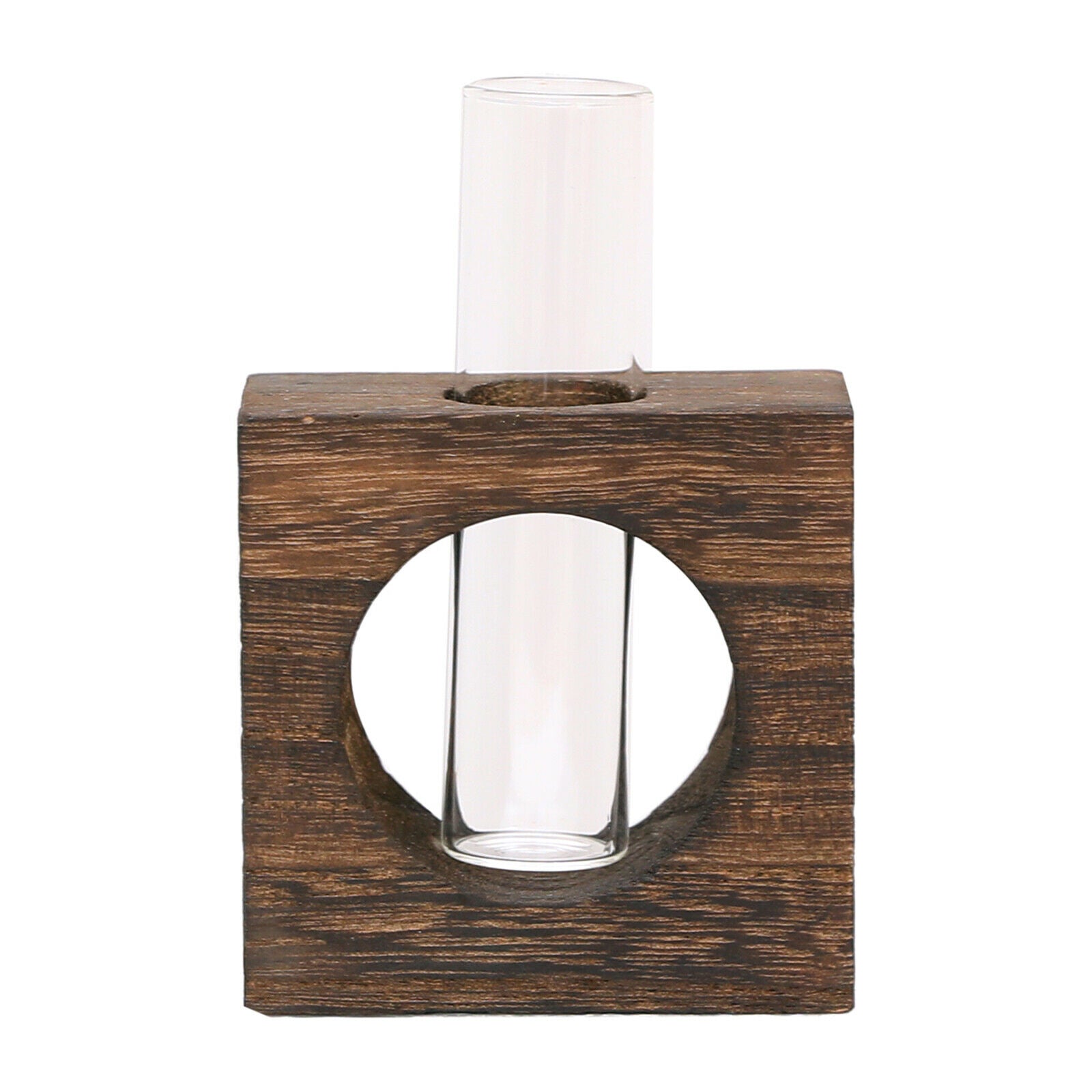 Single Test Tube Vase Watering Plants Planter in Wooden Stand Flowerpot