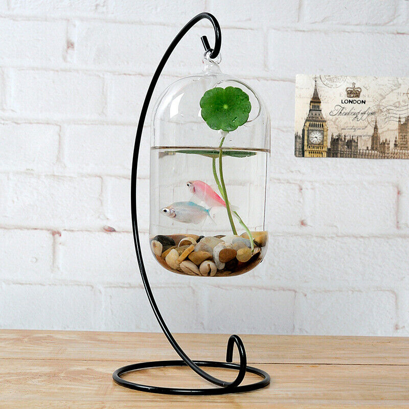 Hanging Glass Flower Vase Bottle Hydroponic Terrarium Container Home Decor L