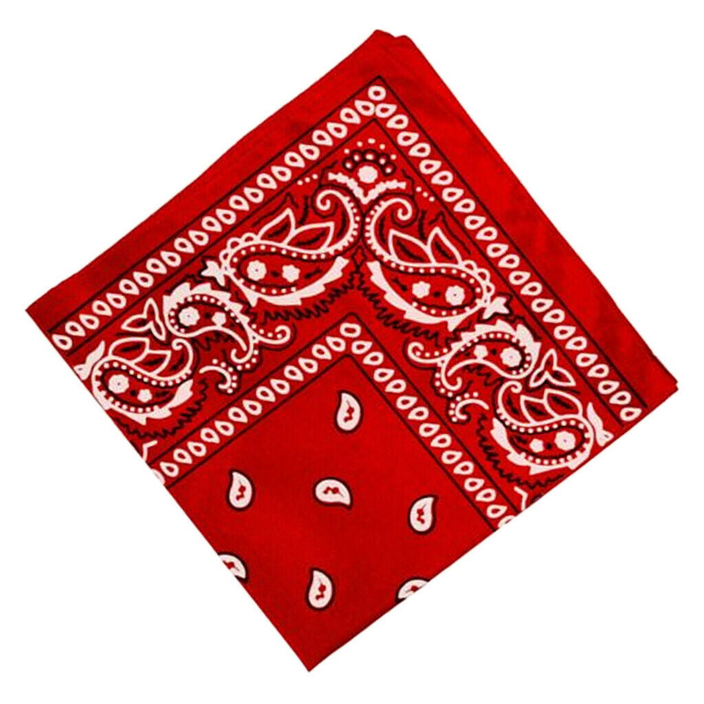 2Pcs 100% Cotton Paisley Print Paisley Cowboy Bandana Head Wrap Hair Band