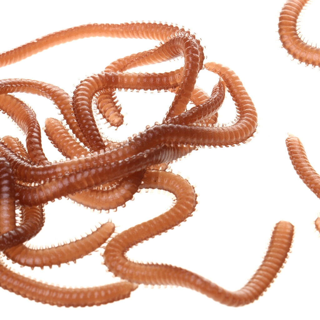 Fishing Lures Baits Acessories, Earth Worms and Crabs, Life-like, Soft Lure for