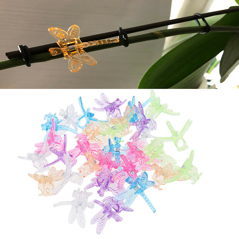 30Pcs Dragonfly Orchid Clips Orchid Grower Support Garden Plant Vine ClipsON KX