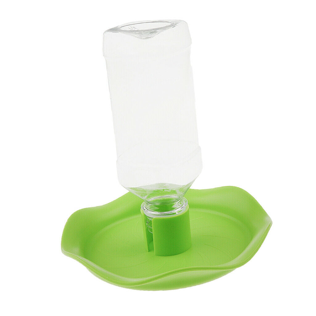 Automatic Water Bowl Container For Reptile Tortoise Spiders Lizard Green