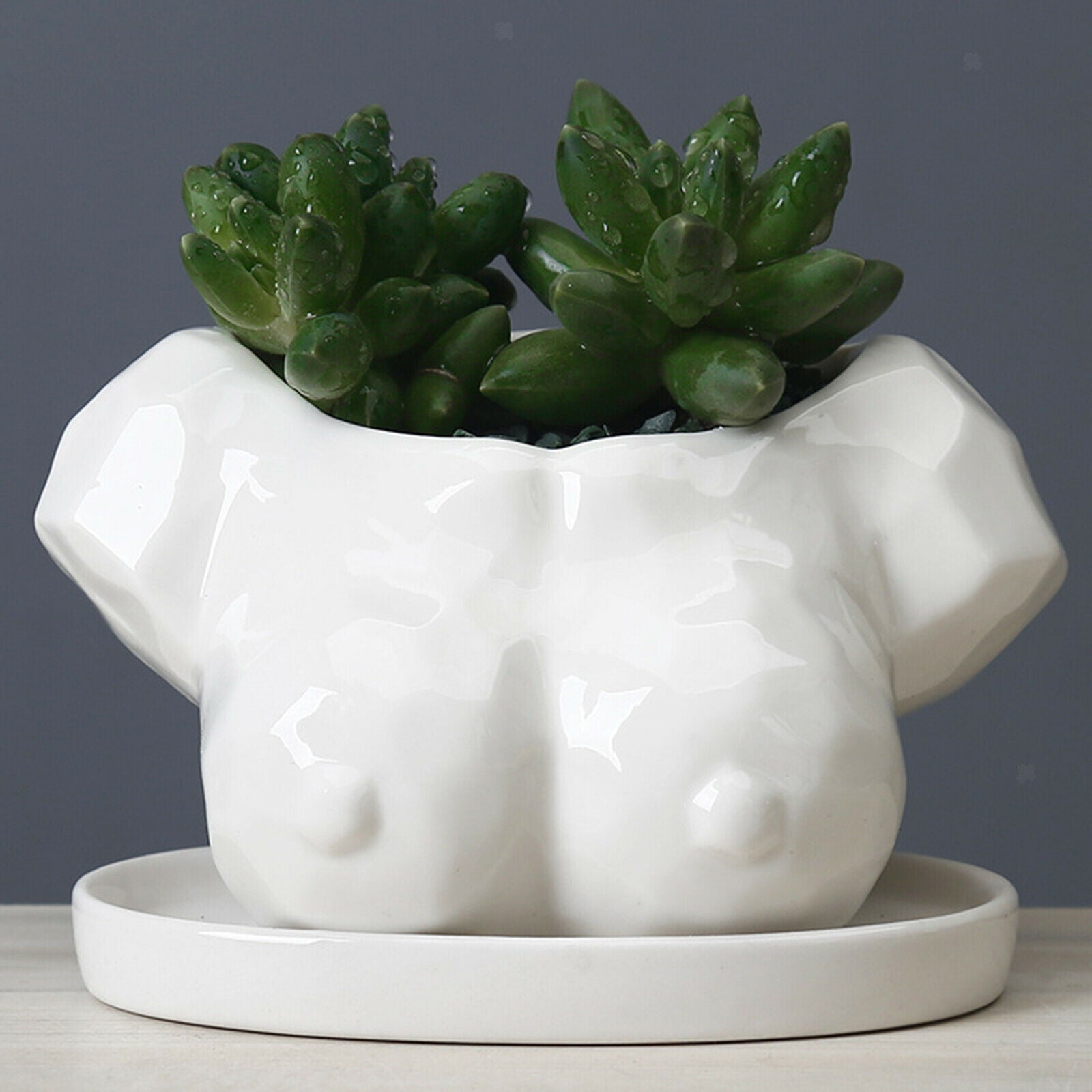 Flower Pots Ceramic Flowerpot Tabletop Decoration Succulent Planter Pot