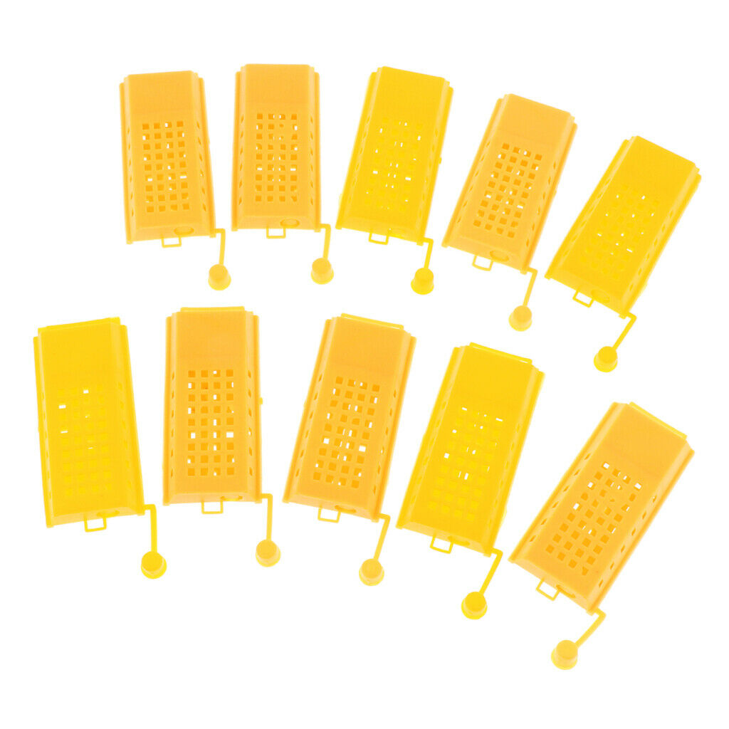 10 Pieces Beekeeping Tools Bee Cage To Catch With Bees Wild