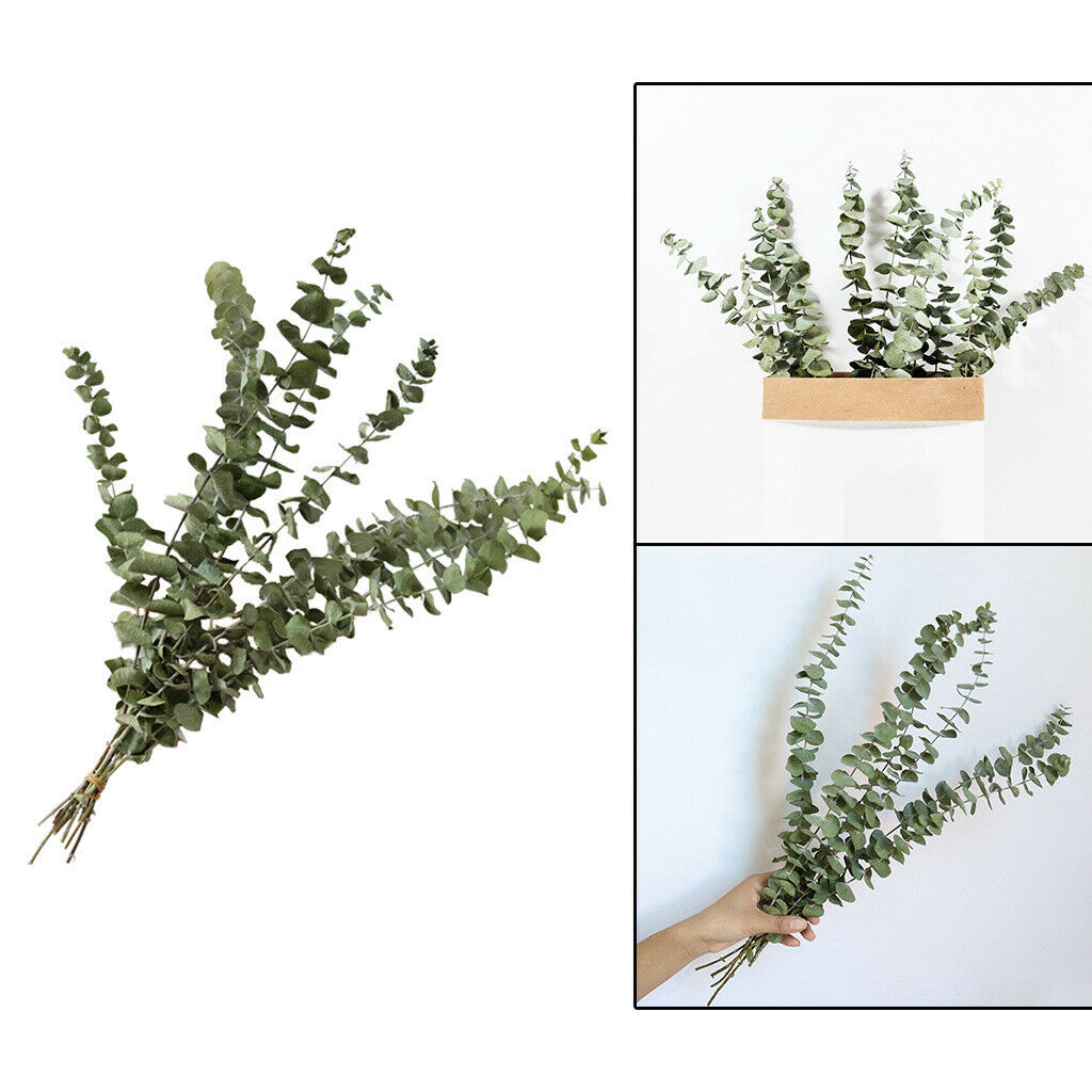 10Pcs Eucalyptus Leaves DIY Bouquet Centerpiece Home Decoration Supplies